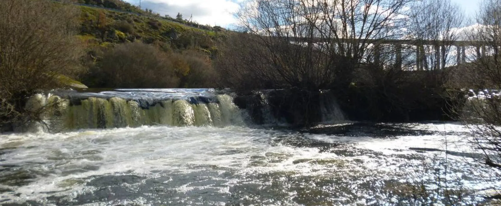 Camping Café Rio Côa