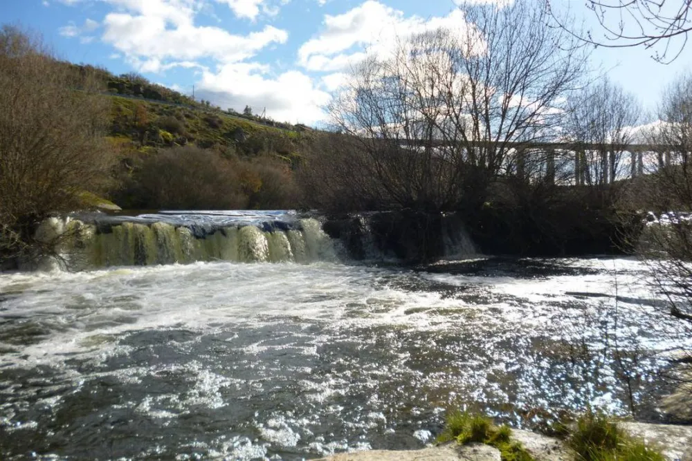 Camping Café Rio Côa