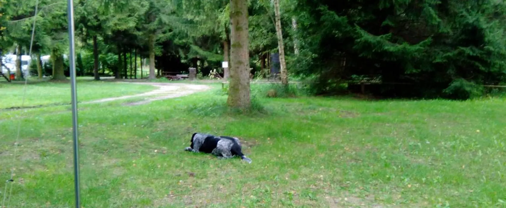 Campinplatz Bergmühle