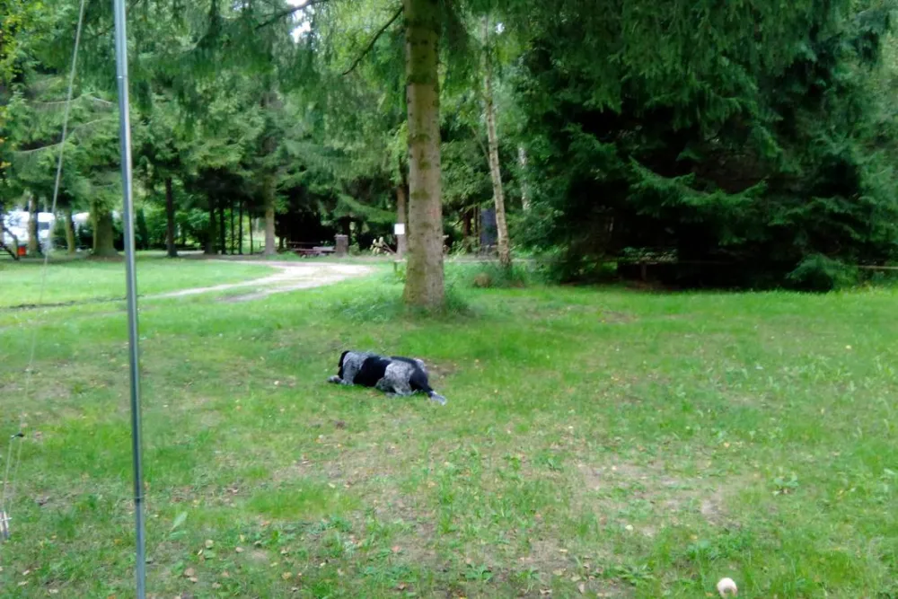 Campinplatz Bergmühle