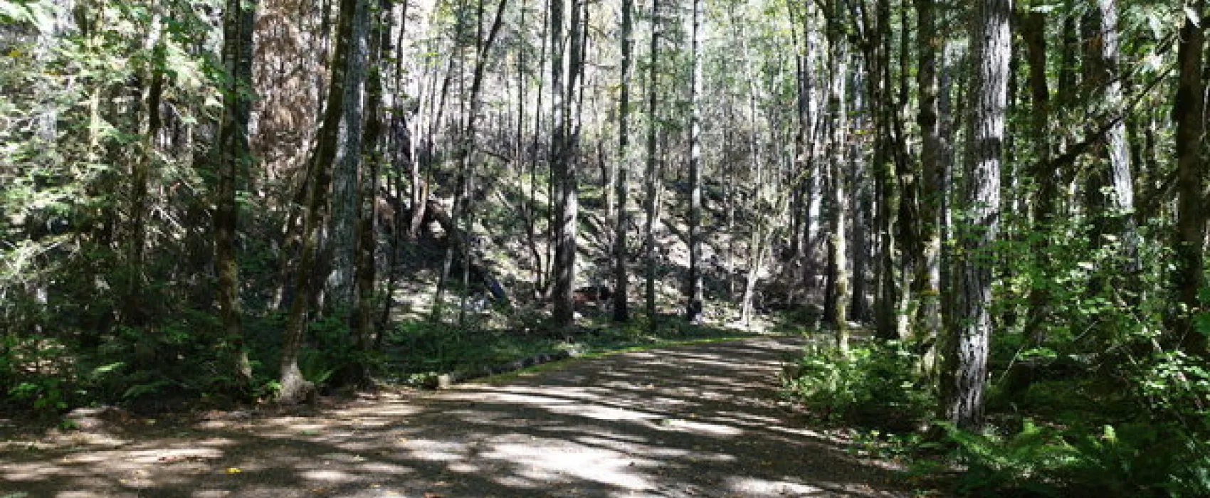 Carter Bridge Campground