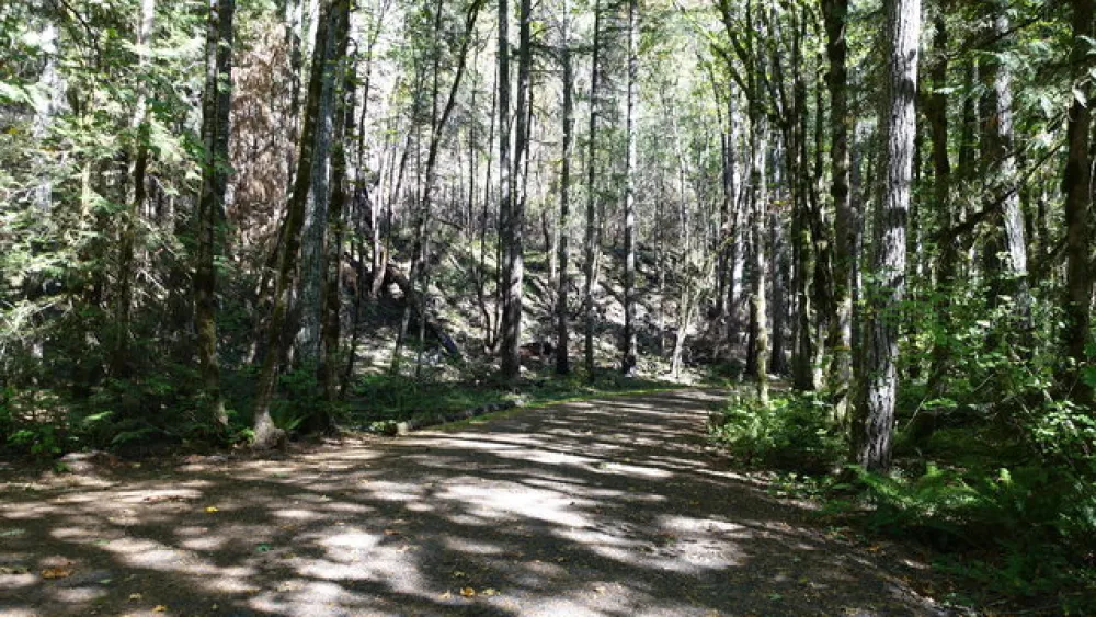Carter Bridge Campground