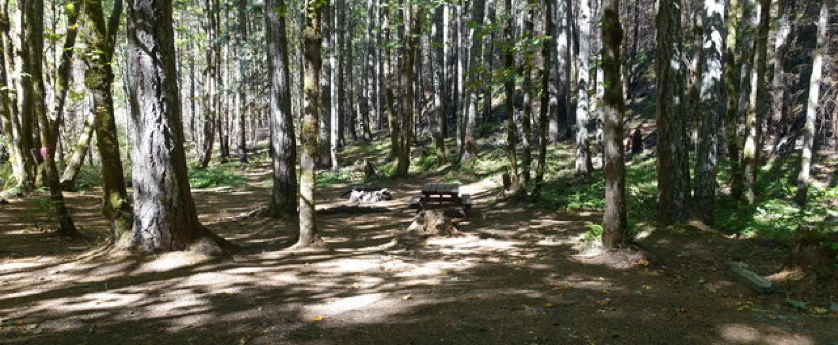 Carter Bridge Campground