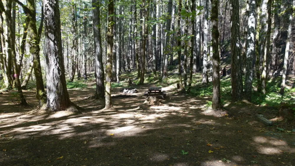 Carter Bridge Campground