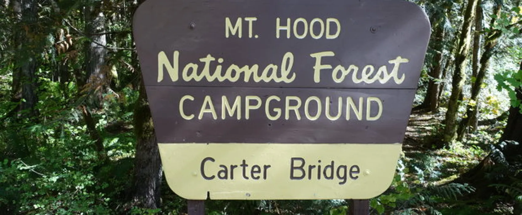 Carter Bridge Campground