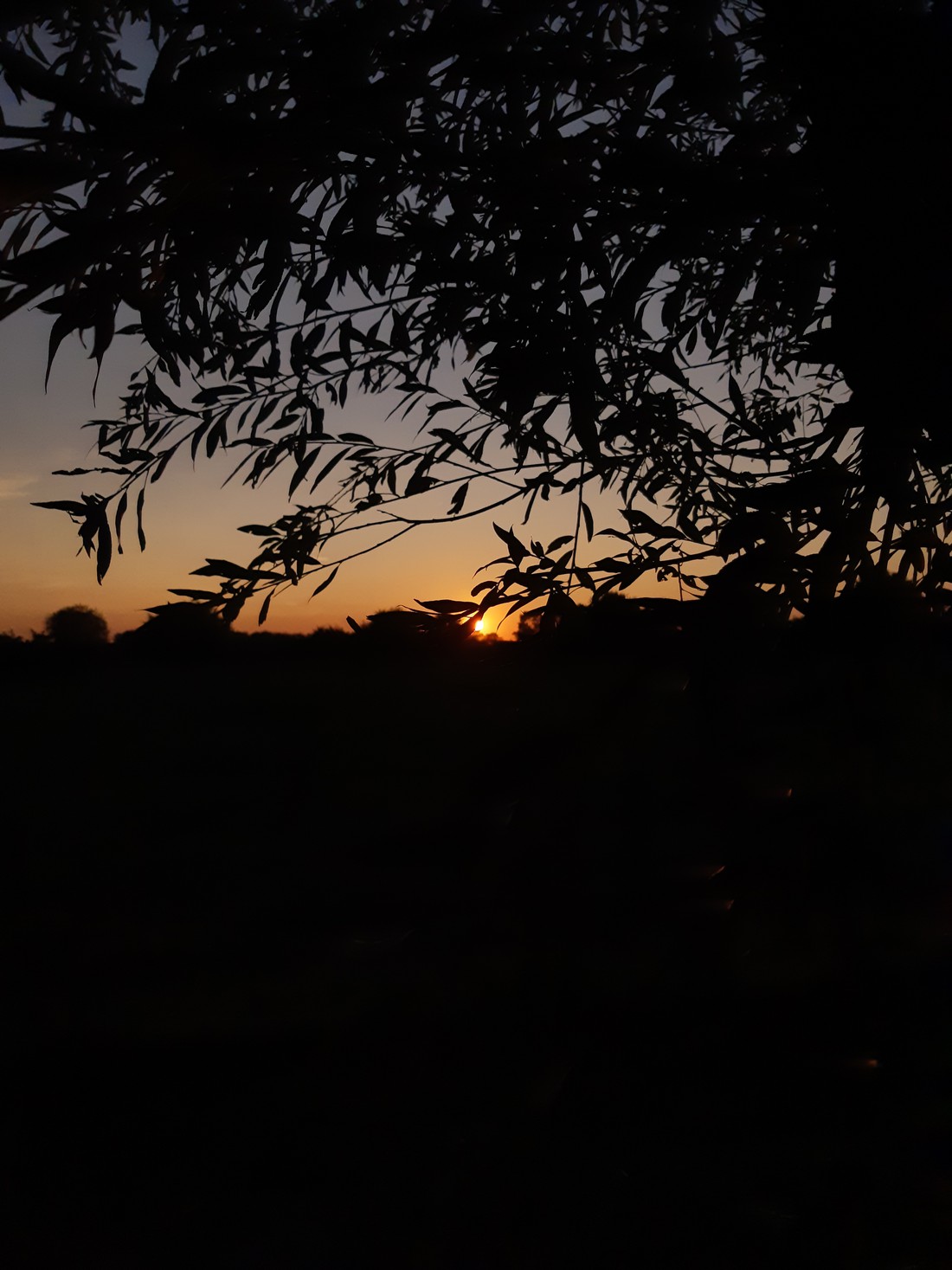 Dorpscamping Gemert photo 4
