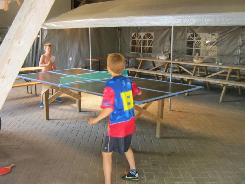 Boerderijcamping Wildeboer