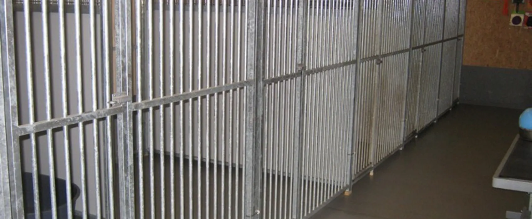 Boerderijcamping Wildeboer