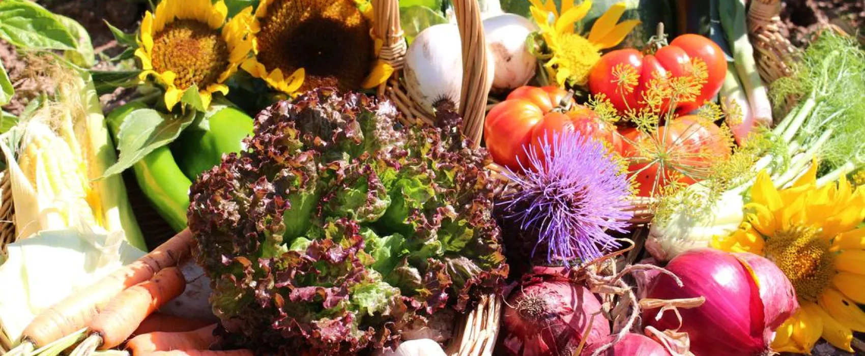 Ecocampeggio Naturista Sasso Corbo