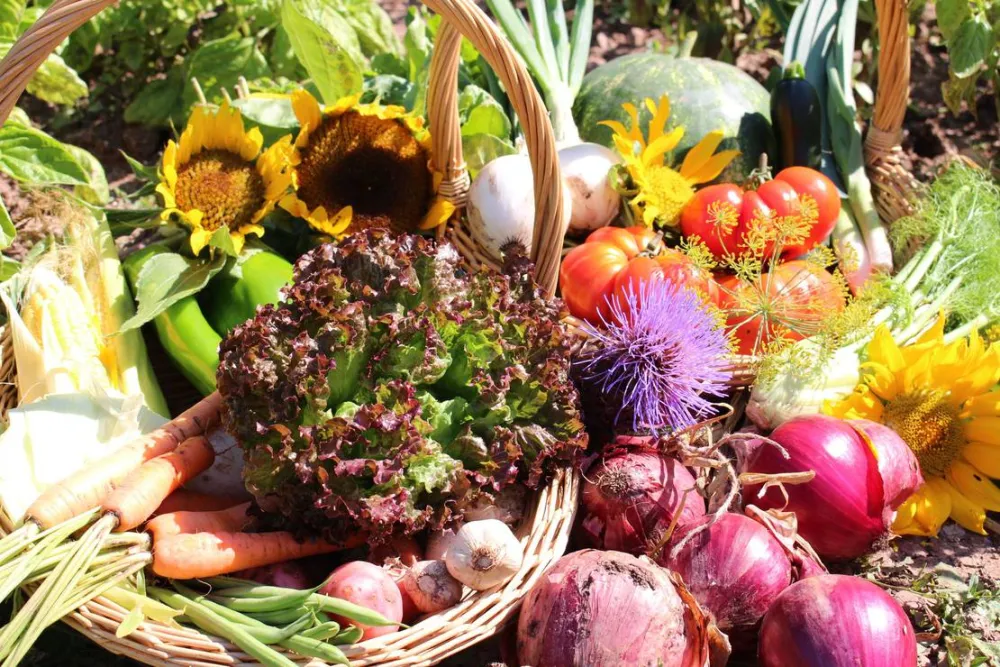 Ecocampeggio Naturista Sasso Corbo