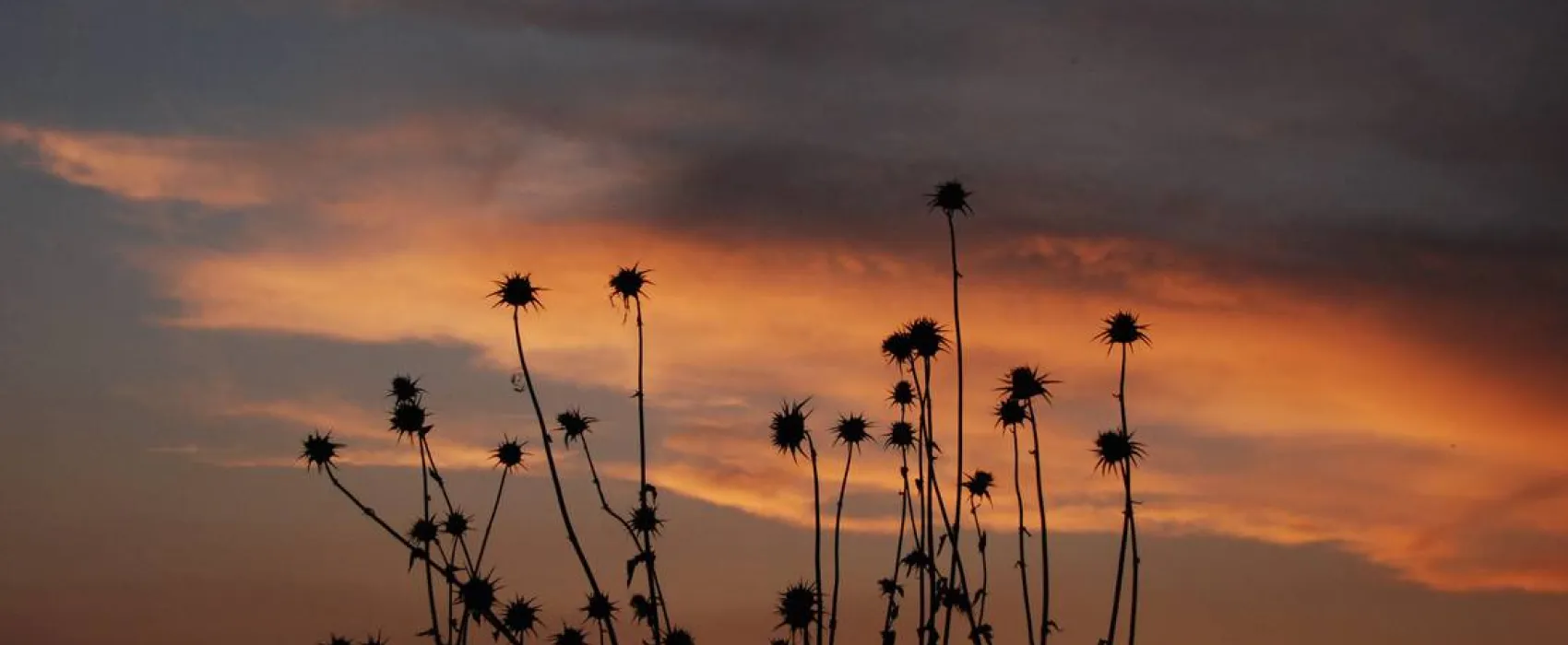 Ecocampeggio Naturista Sasso Corbo