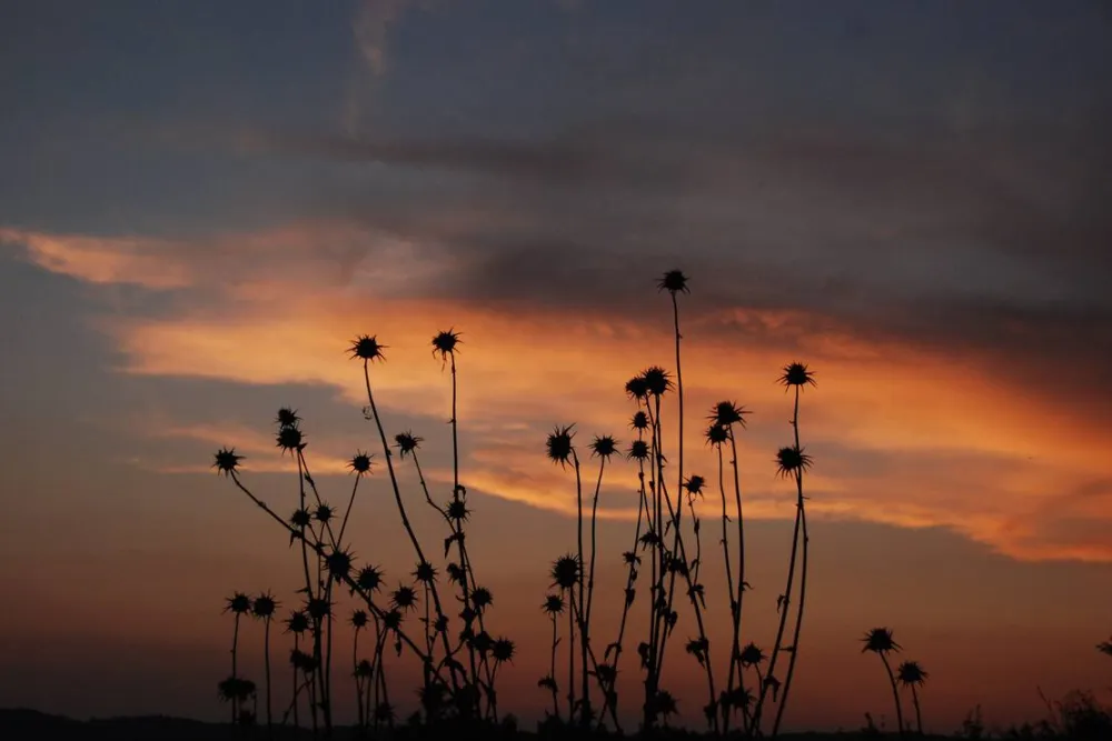 Ecocampeggio Naturista Sasso Corbo
