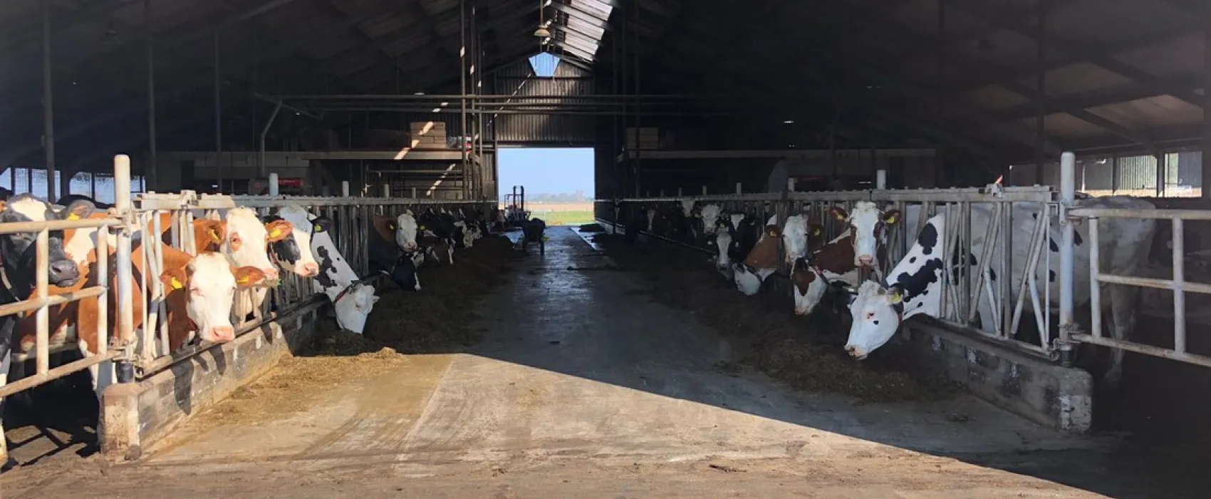 Boerderijcamping Don Voorzorg