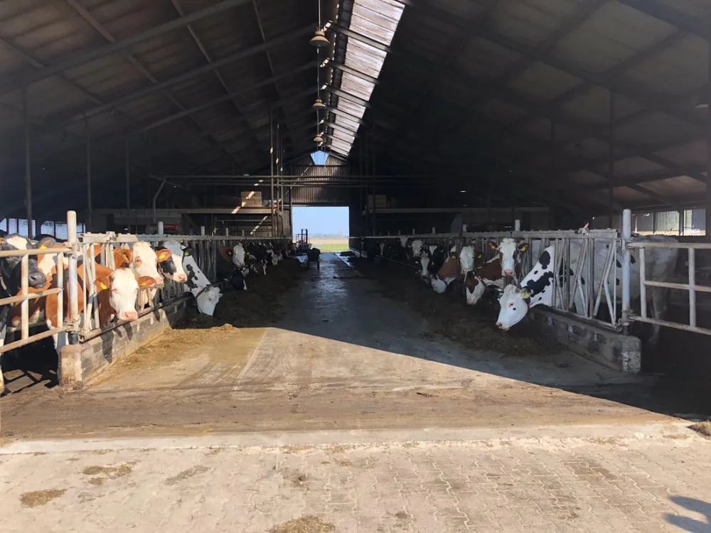 Boerderijcamping Don Voorzorg