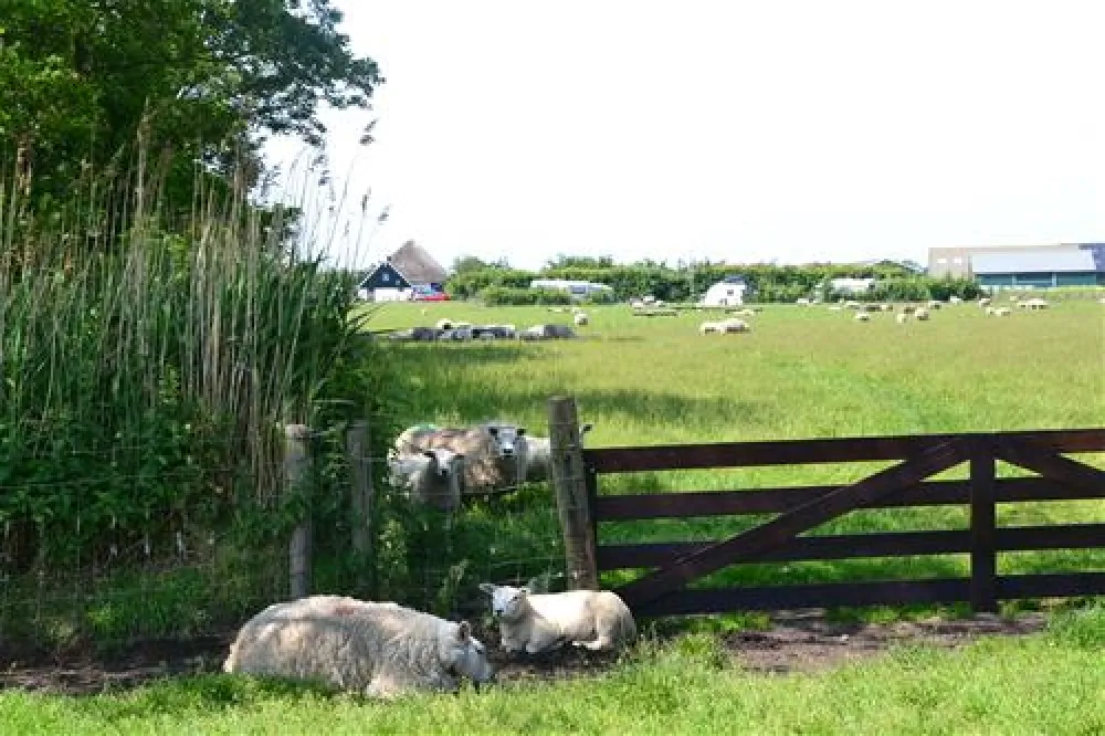 Boerderijcamping Don Voorzorg