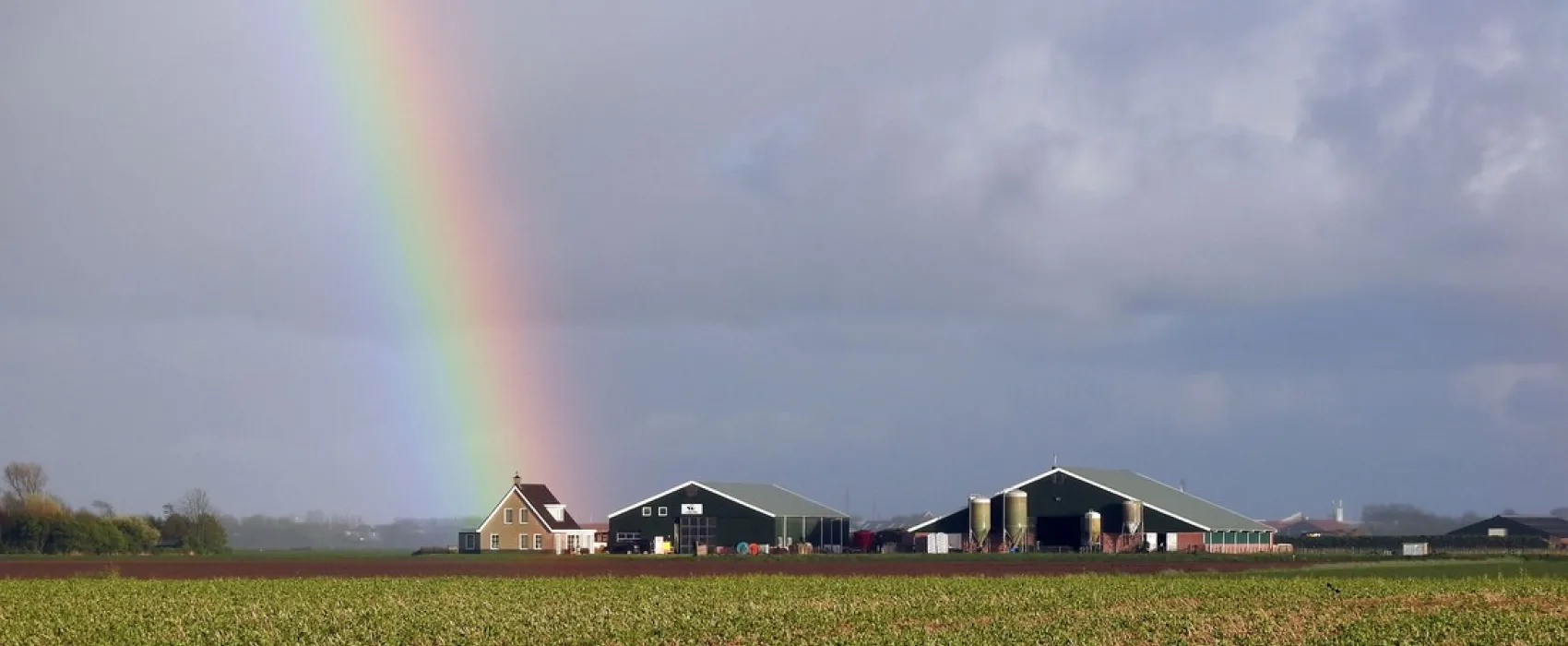 Boerderijcamping Don Voorzorg