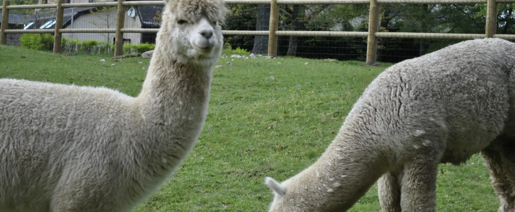 Aux Portes des Mille Sources