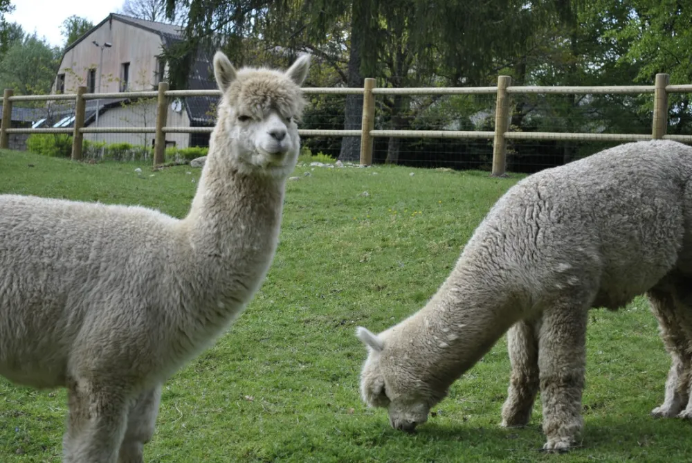 Aux Portes des Mille Sources