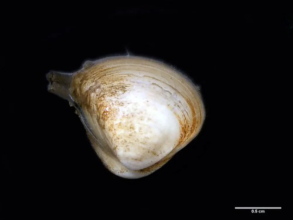 Mark Point Campground