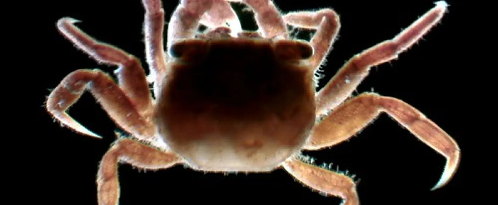 Mark Point Campground