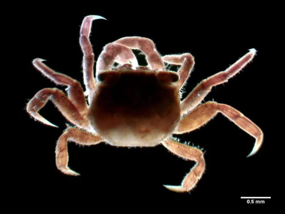 Mark Point Campground