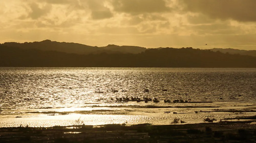 Mark Point Campground