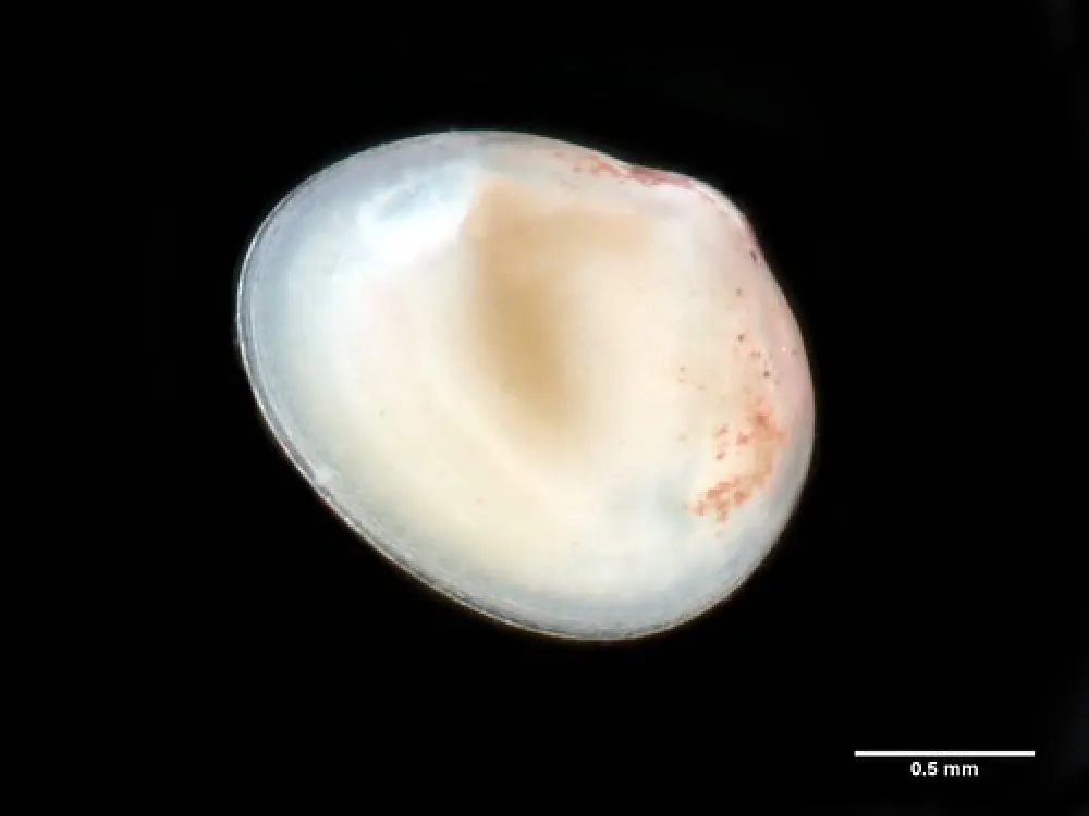 Mark Point Campground