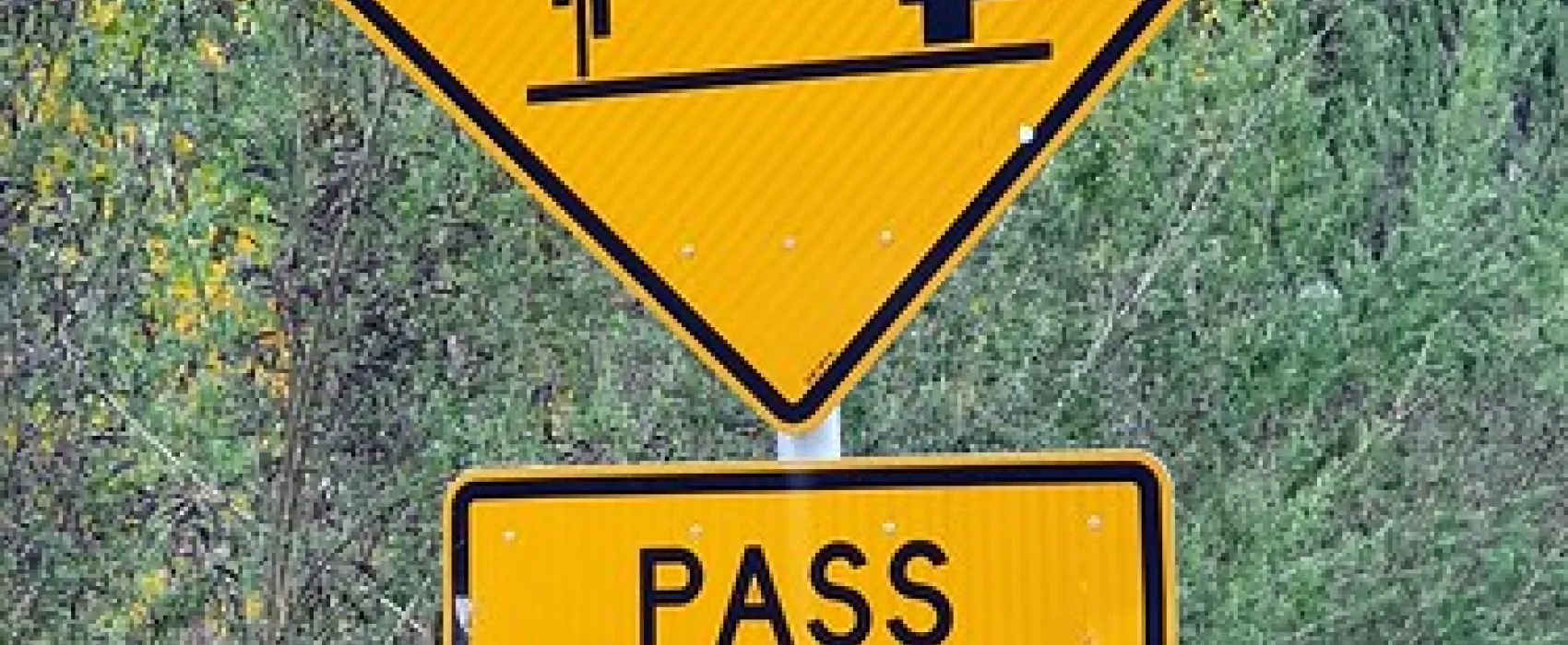 Shipwrights Point Regatta Ground Campground