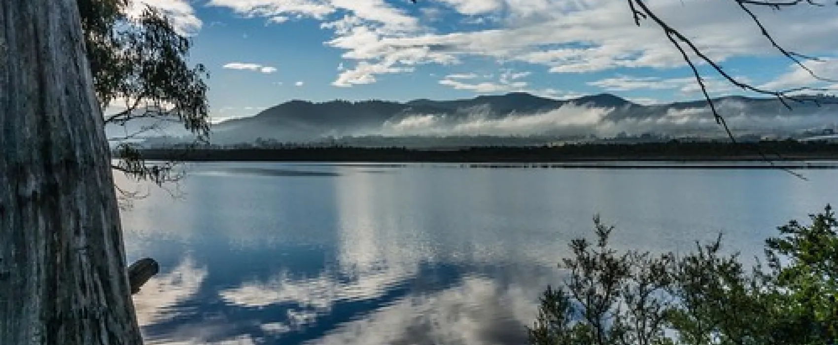 Shipwrights Point Regatta Ground Campground