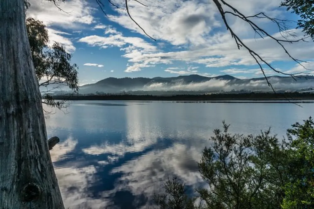 Shipwrights Point Regatta Ground Campground