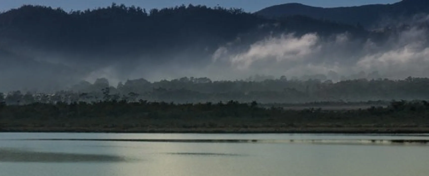 Shipwrights Point Regatta Ground Campground