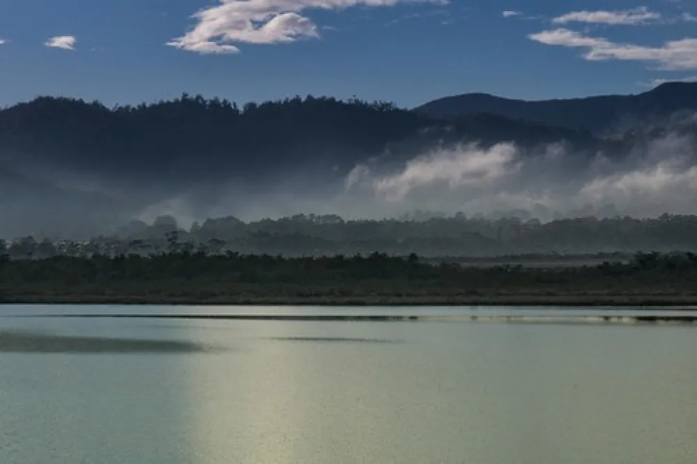 Shipwrights Point Regatta Ground Campground