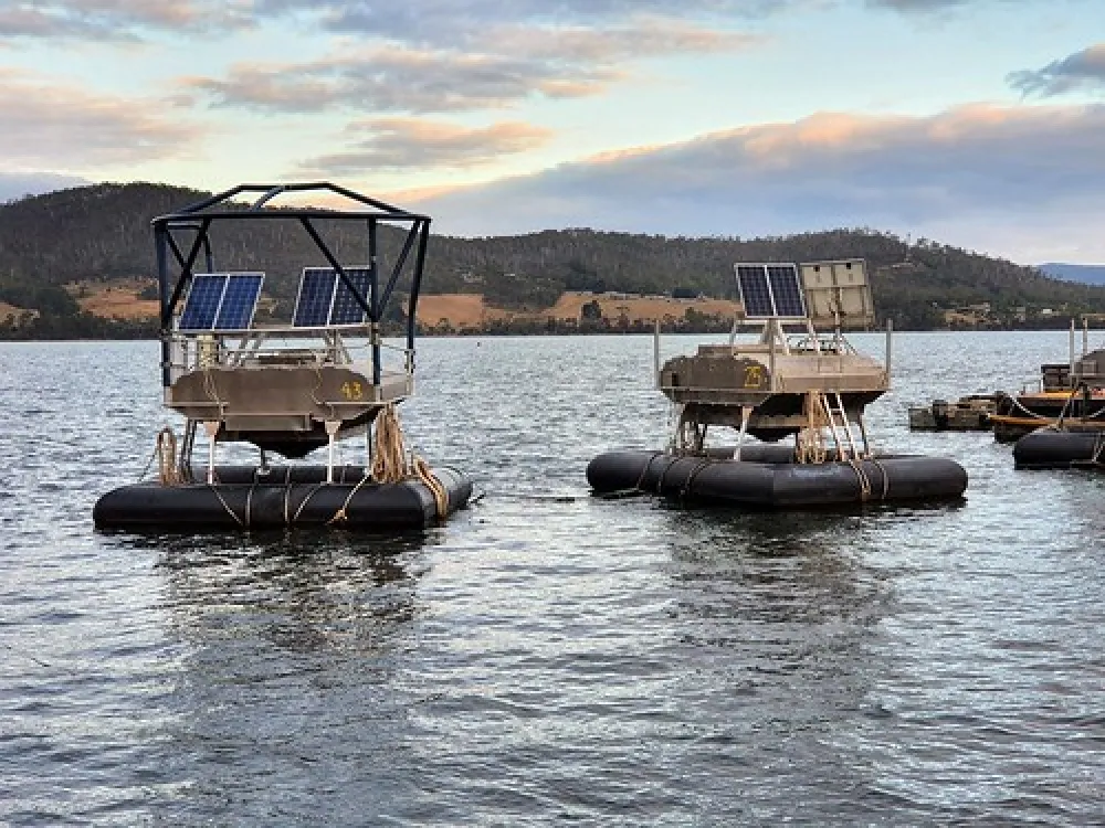 Shipwrights Point Regatta Ground Campground