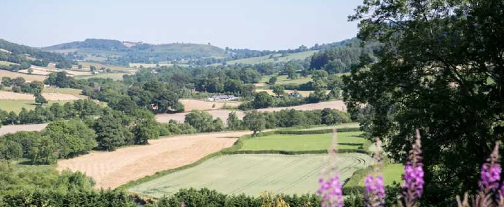 Oaklands Glamping and Treehouse