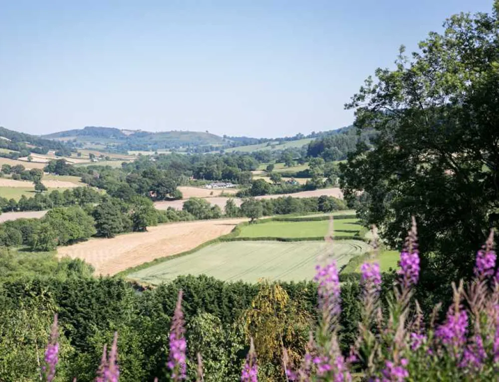 Oaklands Glamping and Treehouse