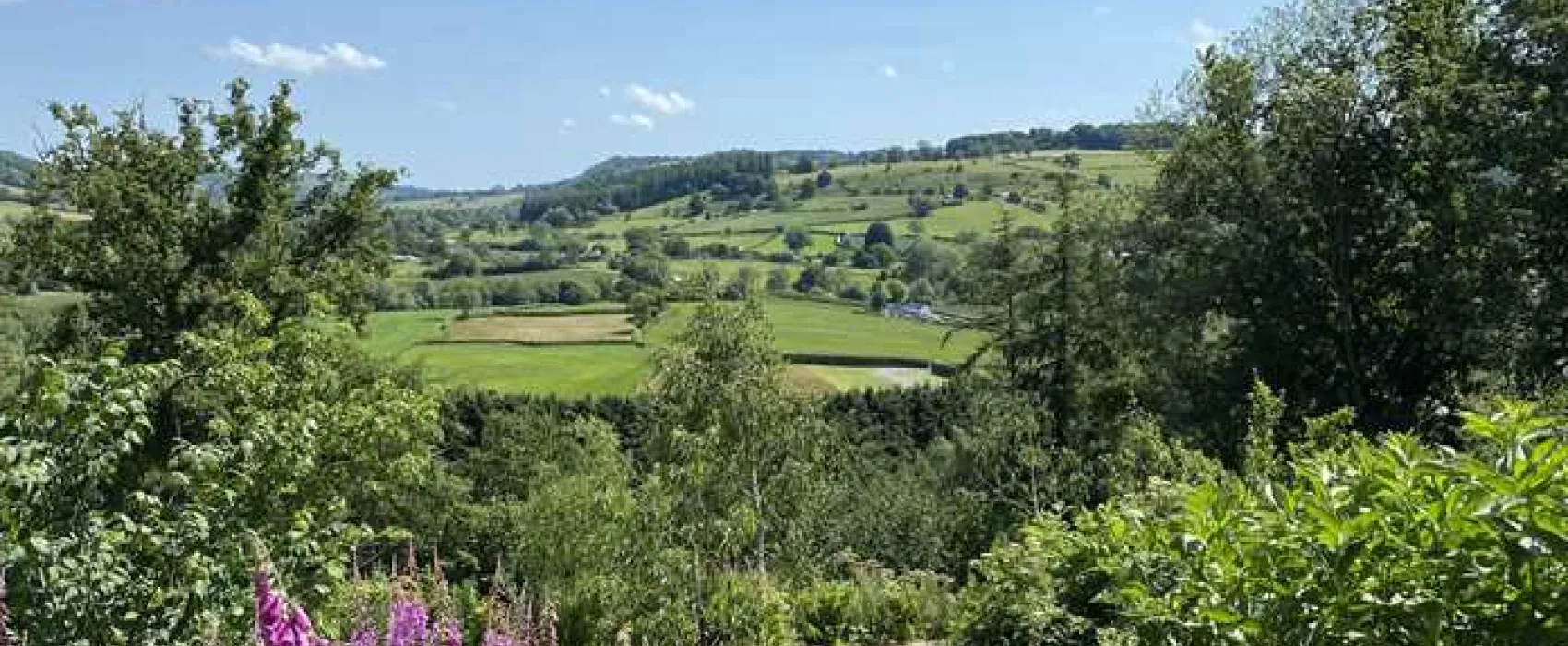 Oaklands Glamping and Treehouse