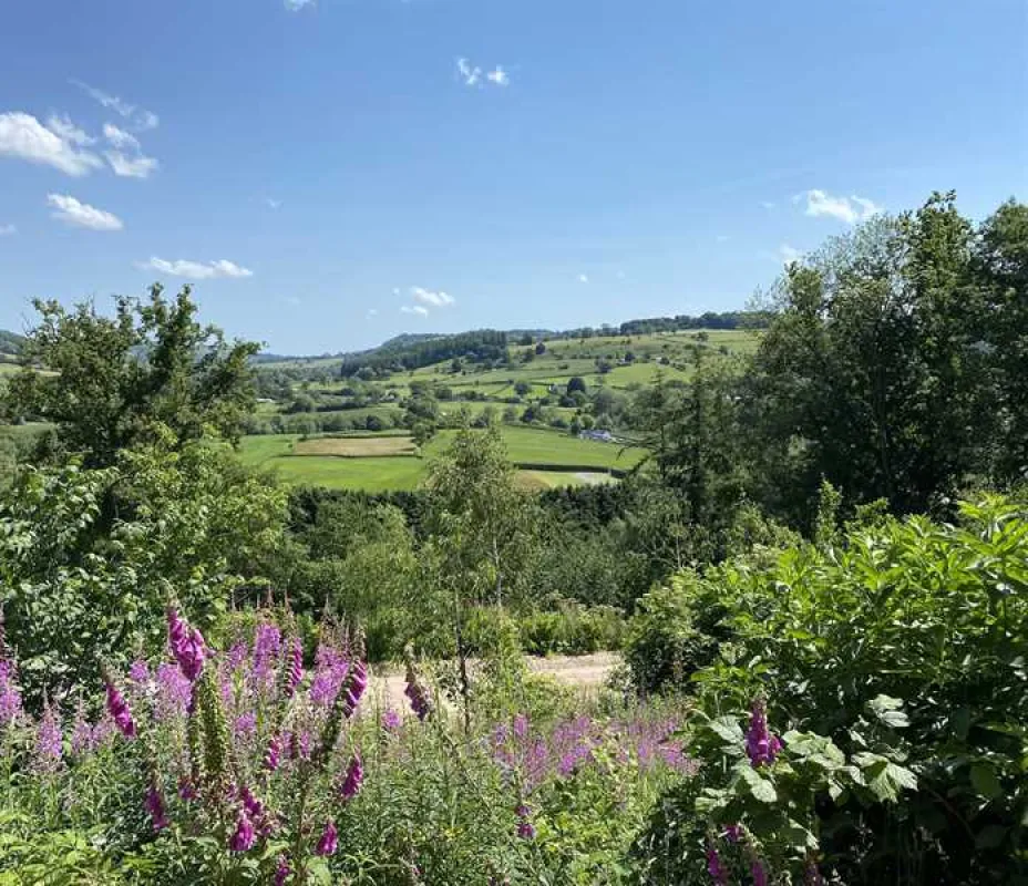 Oaklands Glamping and Treehouse