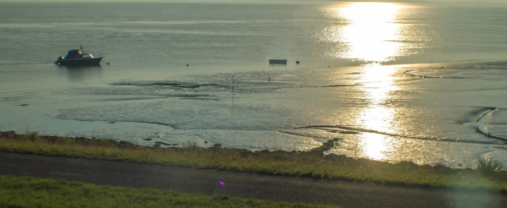 Boerderijcamping Perkpolder
