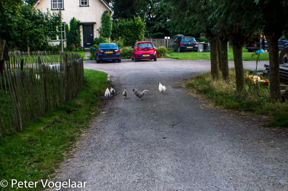 Boerderijcamping Perkpolder