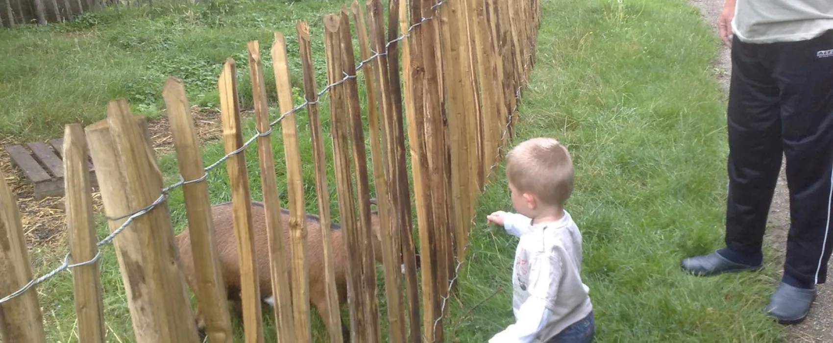Boerderijcamping Perkpolder