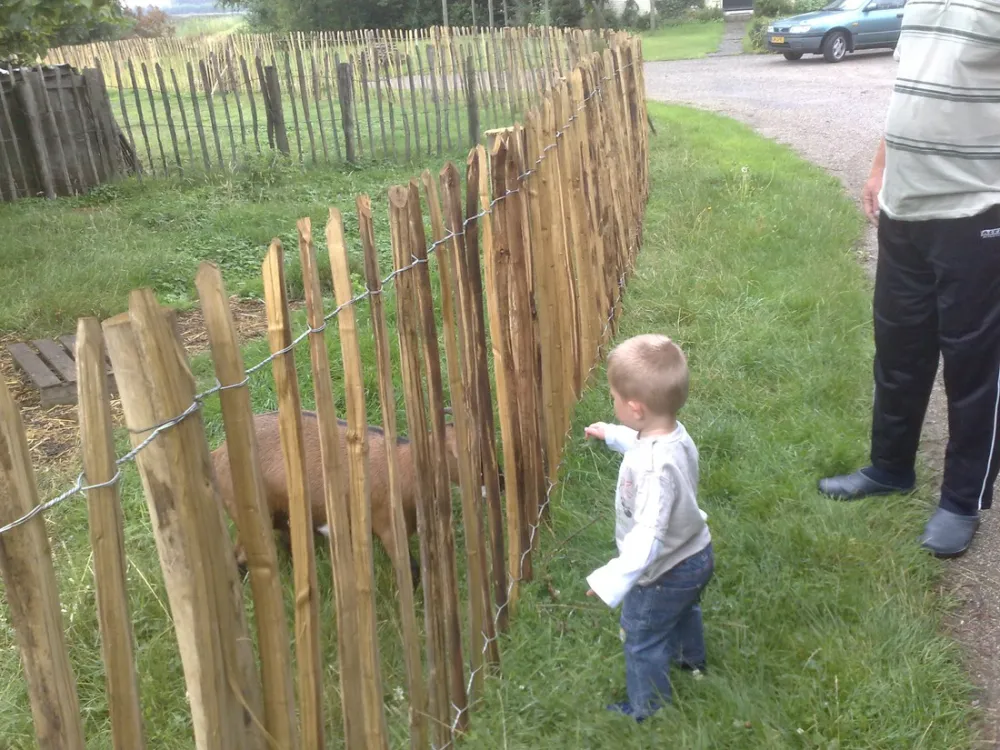 Boerderijcamping Perkpolder