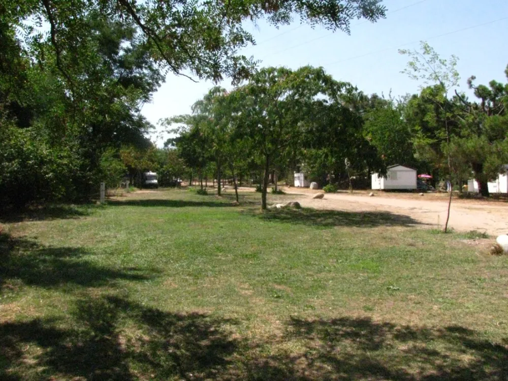 Domaine de Griggione