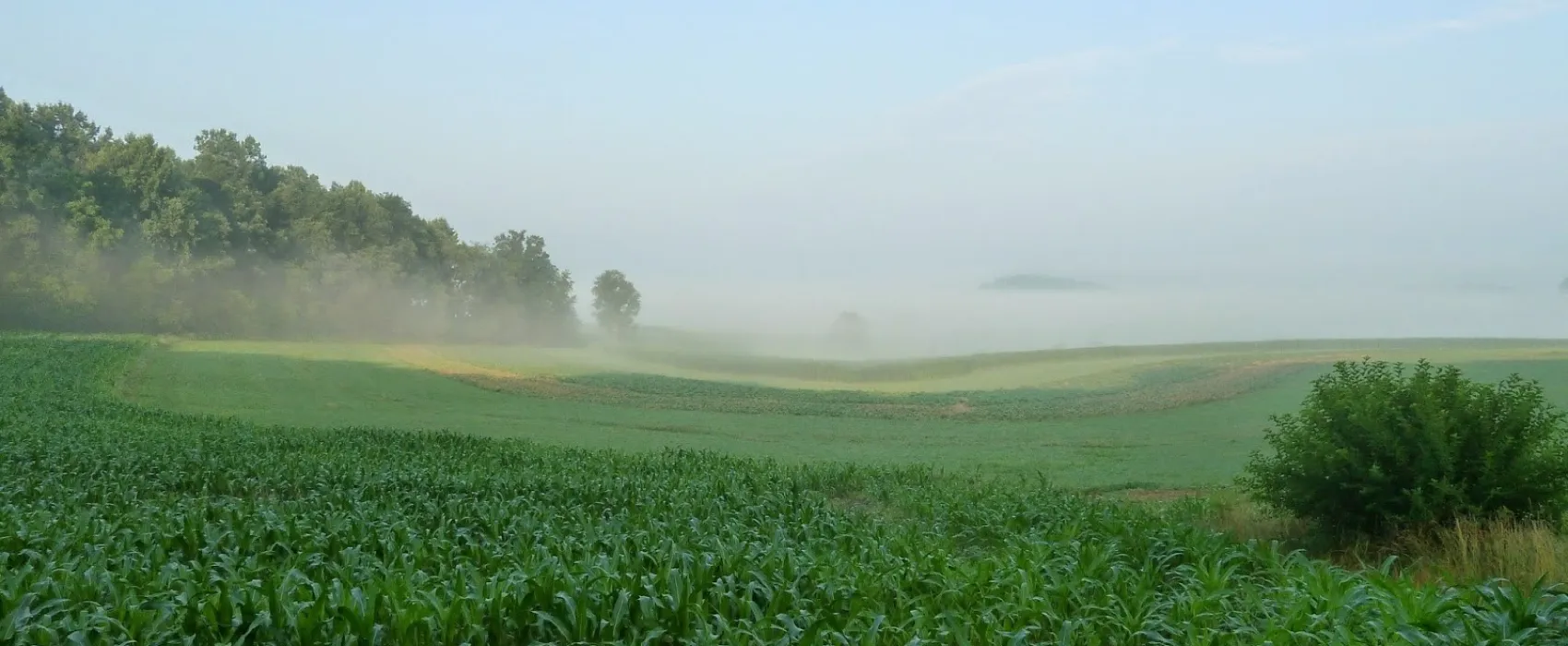 D & J Shady Rest Campground