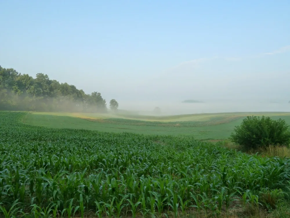 D & J Shady Rest Campground