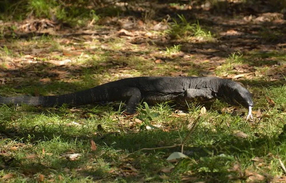 Corringle Slips Campground