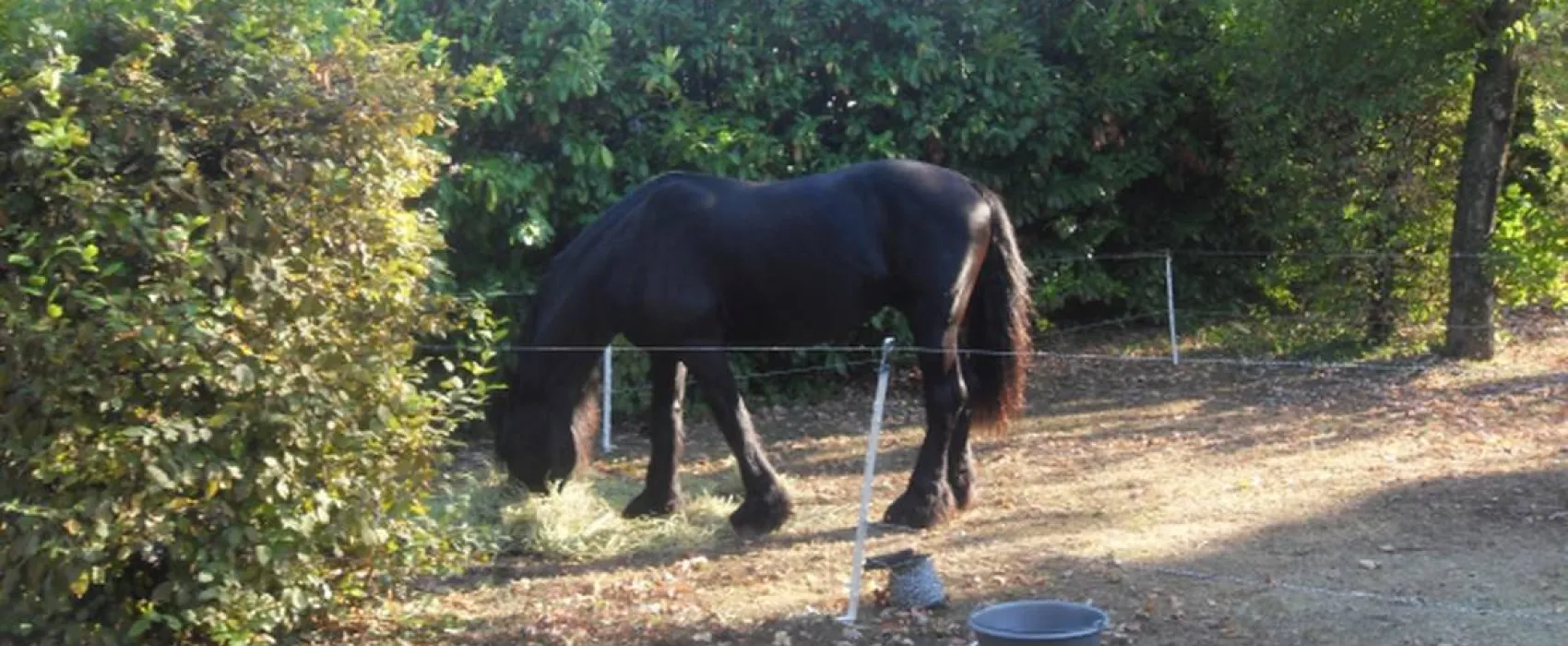 Camping Municipal De La Grande Foret