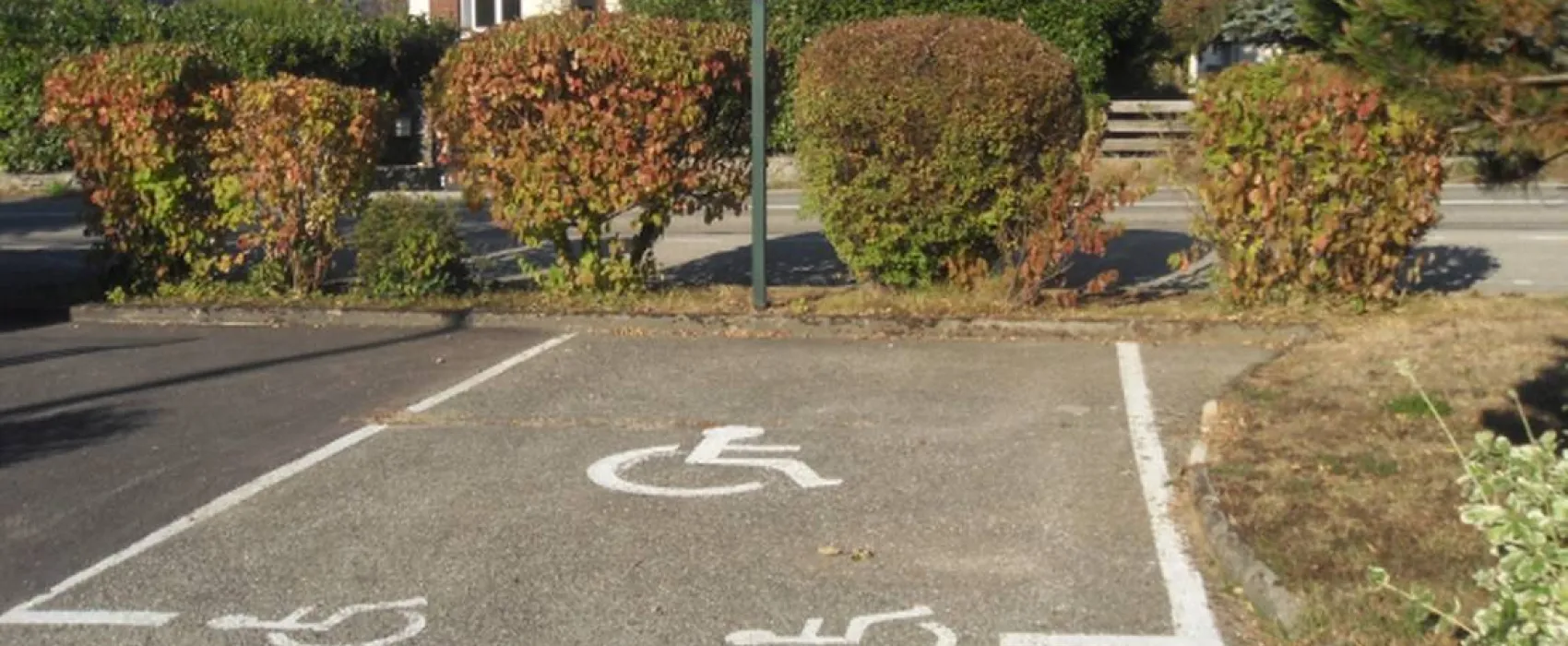 Camping Municipal De La Grande Foret