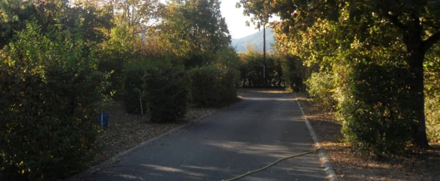 Camping Municipal De La Grande Foret