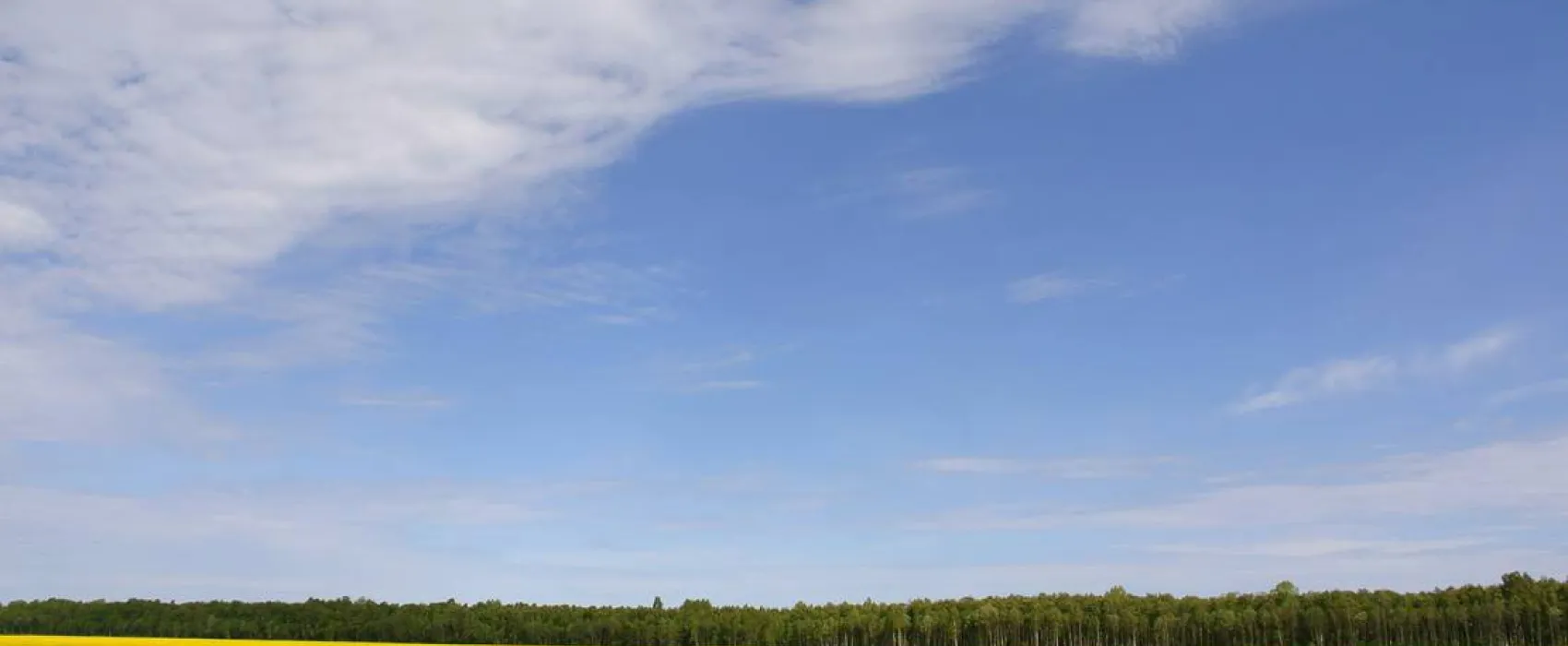 Vanamõisa Caravanpark Tallinn