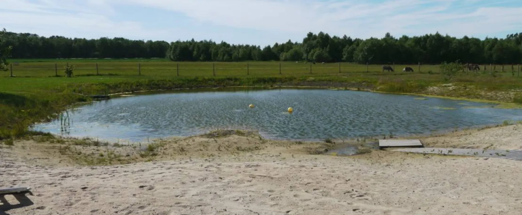 Vanamõisa Caravanpark Tallinn